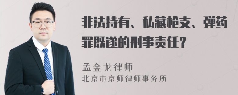 非法持有、私藏枪支、弹药罪既遂的刑事责任？