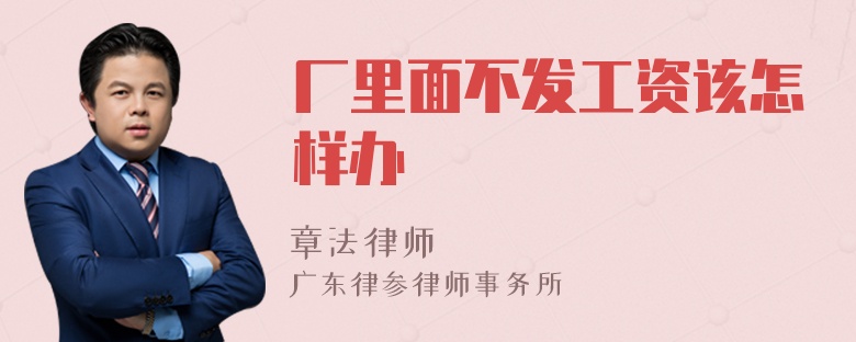 厂里面不发工资该怎样办