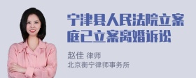 宁津县人民法院立案庭已立案离婚诉讼