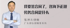 我要签合同了，咨询下正规劳务合同是什么