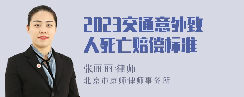 2023交通意外致人死亡赔偿标准