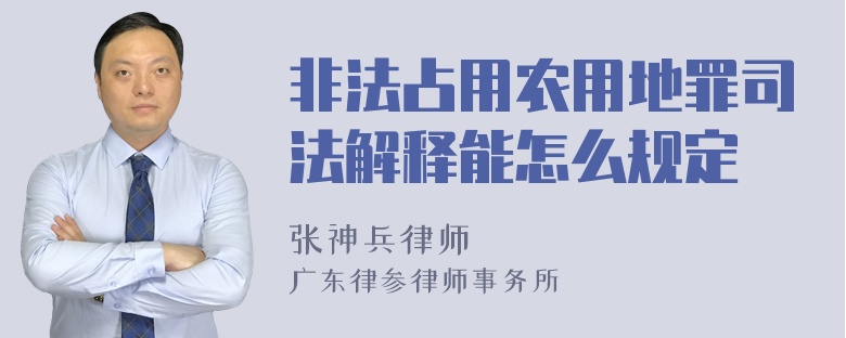 非法占用农用地罪司法解释能怎么规定