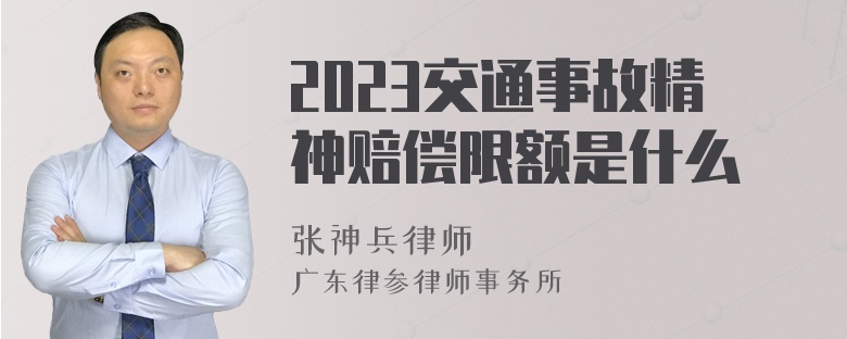 2023交通事故精神赔偿限额是什么