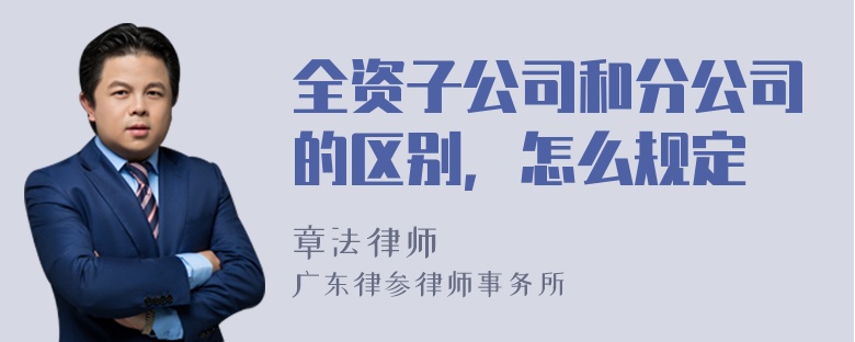 全资子公司和分公司的区别，怎么规定