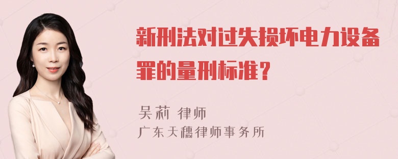 新刑法对过失损坏电力设备罪的量刑标准？