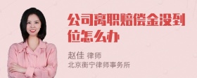 公司离职赔偿金没到位怎么办