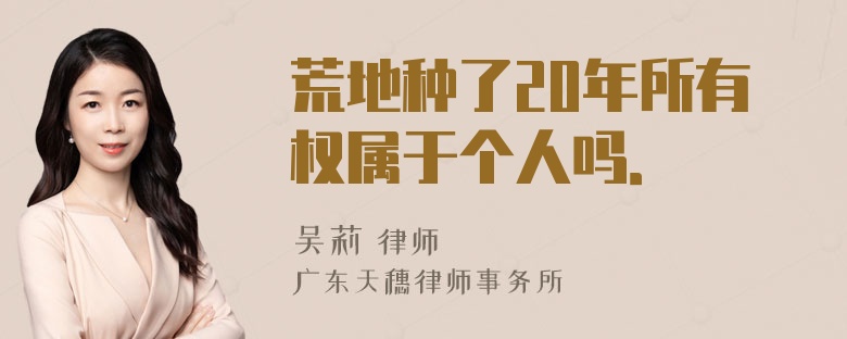 荒地种了20年所有权属于个人吗．