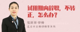 试用期内辞职，不转正，怎么办？