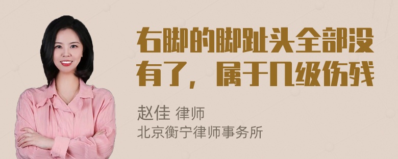 右脚的脚趾头全部没有了，属于几级伤残