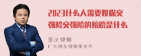 2023什么人需要投保交强险交强险的赔偿是什么