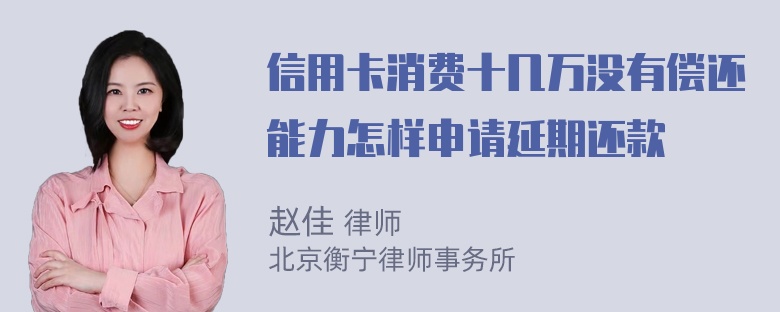 信用卡消费十几万没有偿还能力怎样申请延期还款