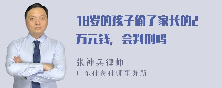 18岁的孩子偷了家长的2万元钱，会判刑吗