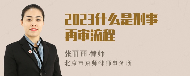 2023什么是刑事再审流程