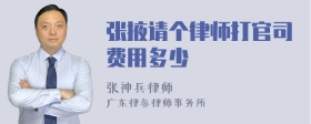 张掖请个律师打官司费用多少