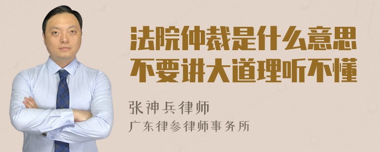 法院仲裁是什么意思不要讲大道理听不懂