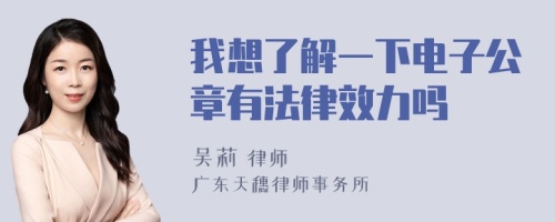 我想了解一下电子公章有法律效力吗