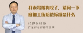 我表哥被狗咬了，请问一下雇佣工伤赔偿标准是什么