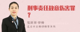 刑事责任故意伤害罪？