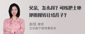 父亲，怎么样？可以把土地使用权转让给儿子？