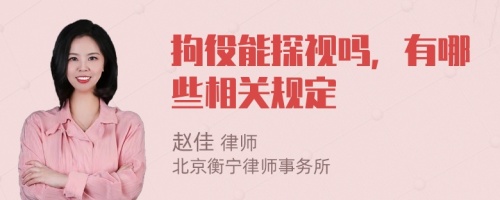 拘役能探视吗，有哪些相关规定