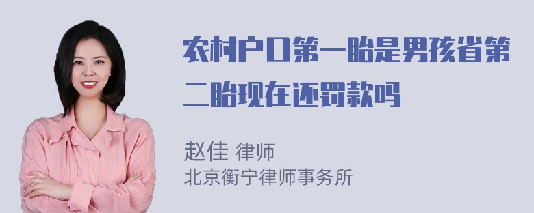 农村户口第一胎是男孩省第二胎现在还罚款吗