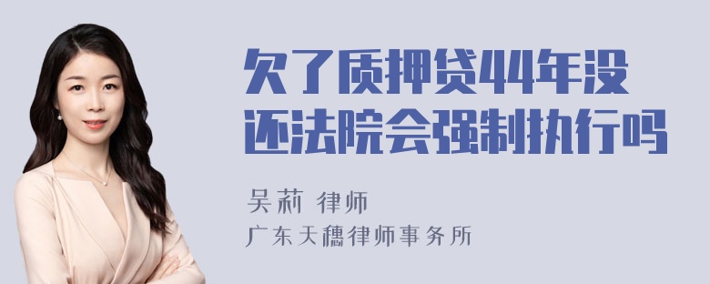 欠了质押贷44年没还法院会强制执行吗