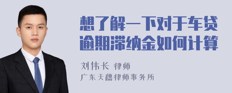 想了解一下对于车贷逾期滞纳金如何计算