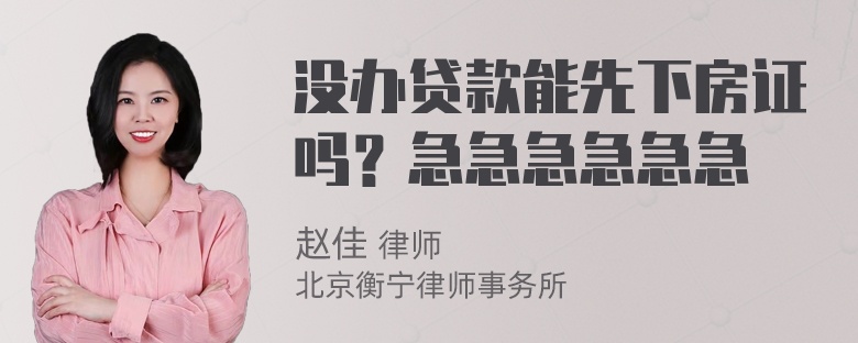 没办贷款能先下房证吗？急急急急急急