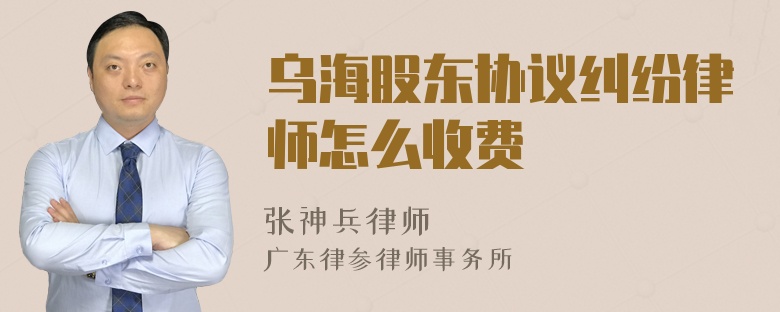 乌海股东协议纠纷律师怎么收费