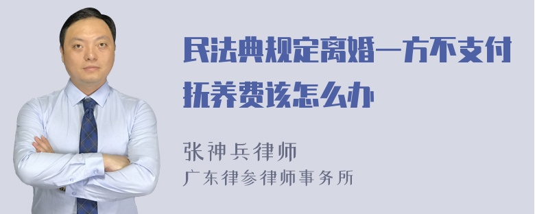 民法典规定离婚一方不支付抚养费该怎么办