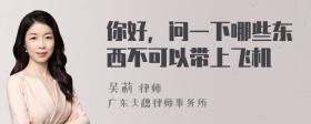 你好，问一下哪些东西不可以带上飞机