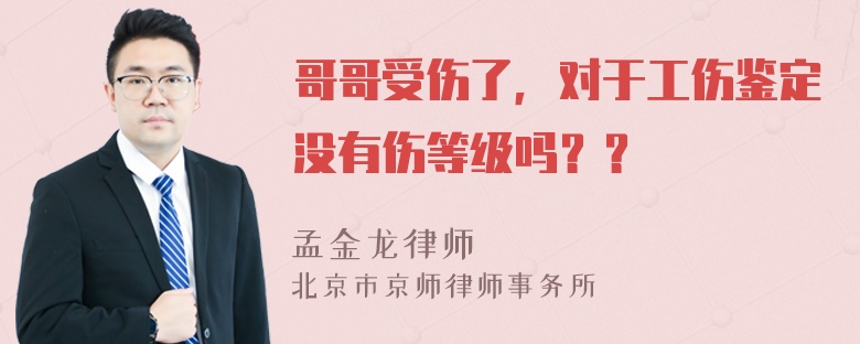 哥哥受伤了，对于工伤鉴定没有伤等级吗？？