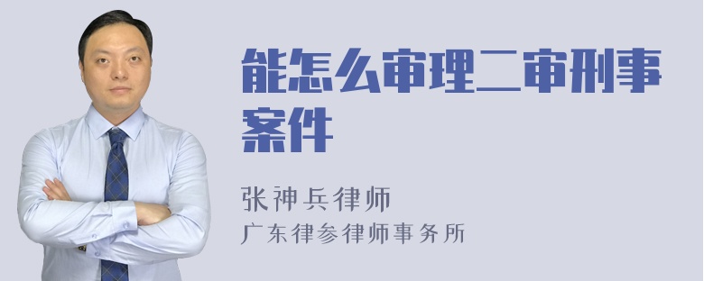 能怎么审理二审刑事案件