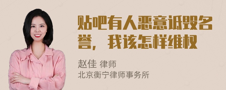 贴吧有人恶意诋毁名誉，我该怎样维权