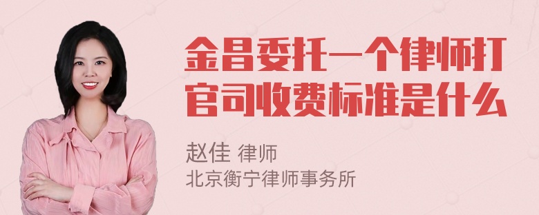 金昌委托一个律师打官司收费标准是什么