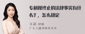 专利权终止的法律事实有什么？，怎么规定