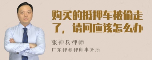 购买的抵押车被偷走了，请问应该怎么办