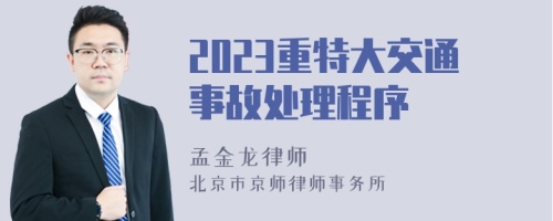 2023重特大交通事故处理程序