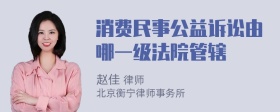 消费民事公益诉讼由哪一级法院管辖