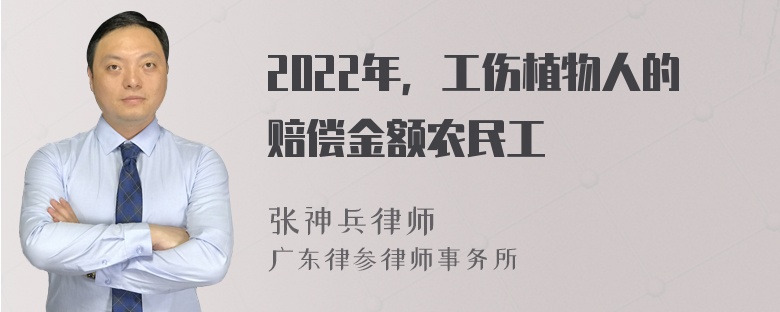 2022年，工伤植物人的赔偿金额农民工