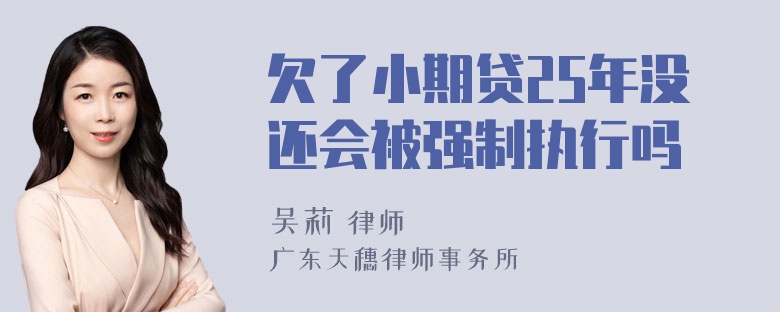 欠了小期贷25年没还会被强制执行吗