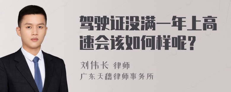 驾驶证没满一年上高速会该如何样呢？