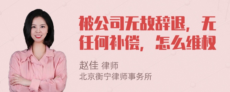 被公司无故辞退，无任何补偿，怎么维权