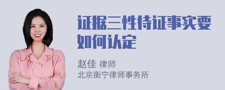 证据三性待证事实要如何认定