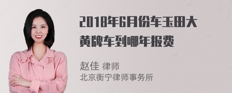 2018年6月份车玉田大黄牌车到哪年报费