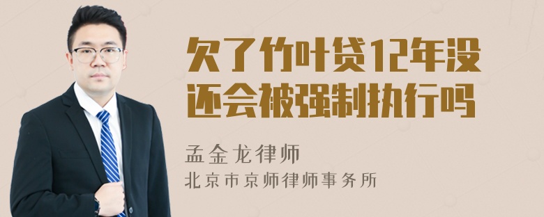 欠了竹叶贷12年没还会被强制执行吗