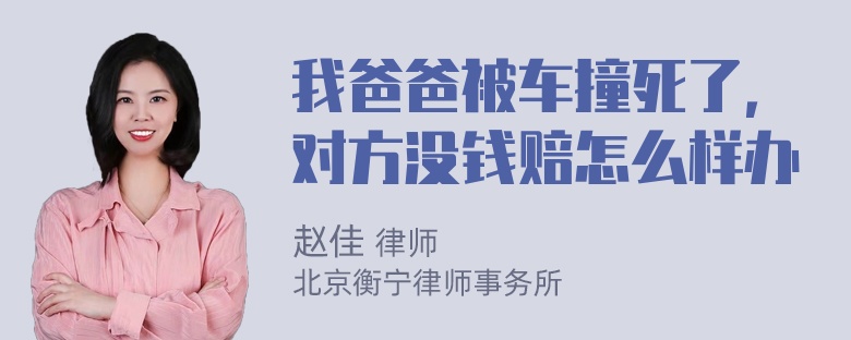 我爸爸被车撞死了，对方没钱赔怎么样办