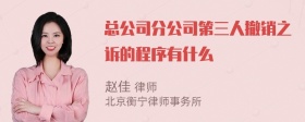 总公司分公司第三人撤销之诉的程序有什么