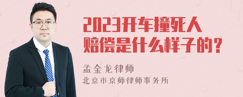 2023开车撞死人赔偿是什么样子的？