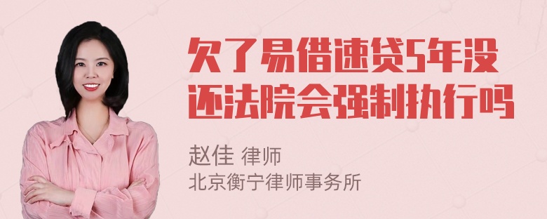 欠了易借速贷5年没还法院会强制执行吗